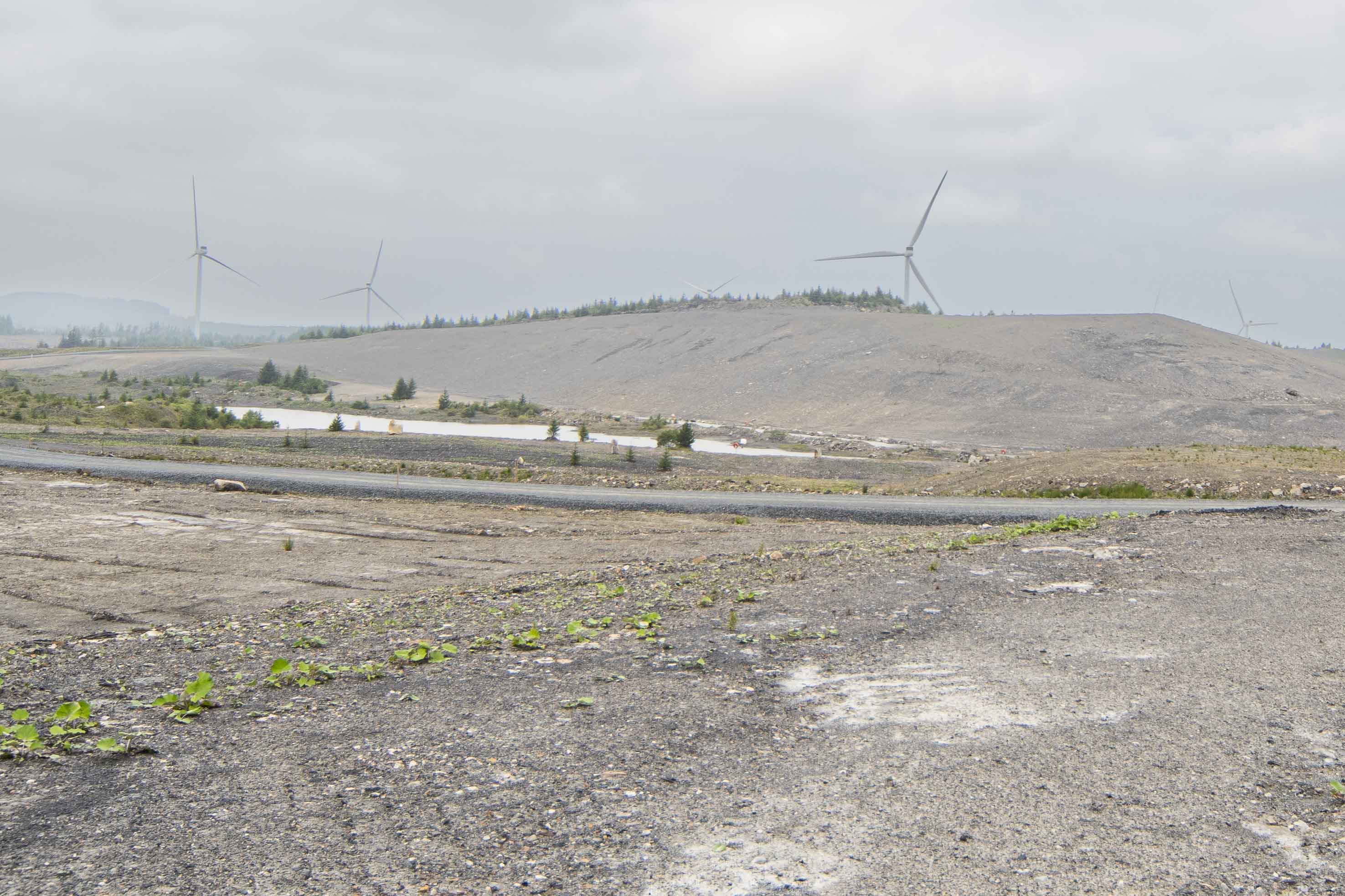 The image below shows an open cast mine in the North Kyle Forest that is in the early stages of re-generation. The site at Hannahston would have looked exactly the same.