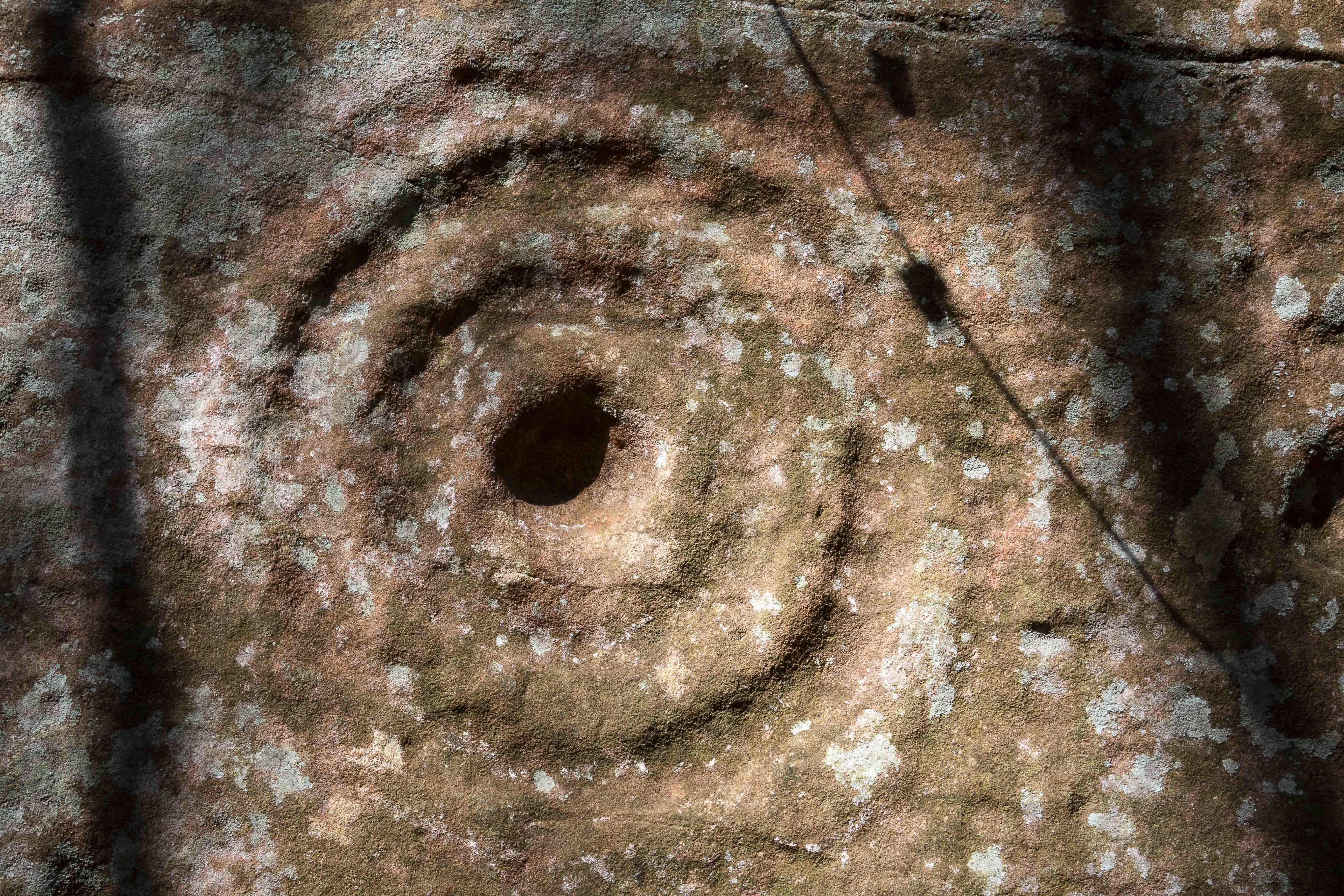 Site at Ballochmyle with Cup and Ring carvings on the wall.