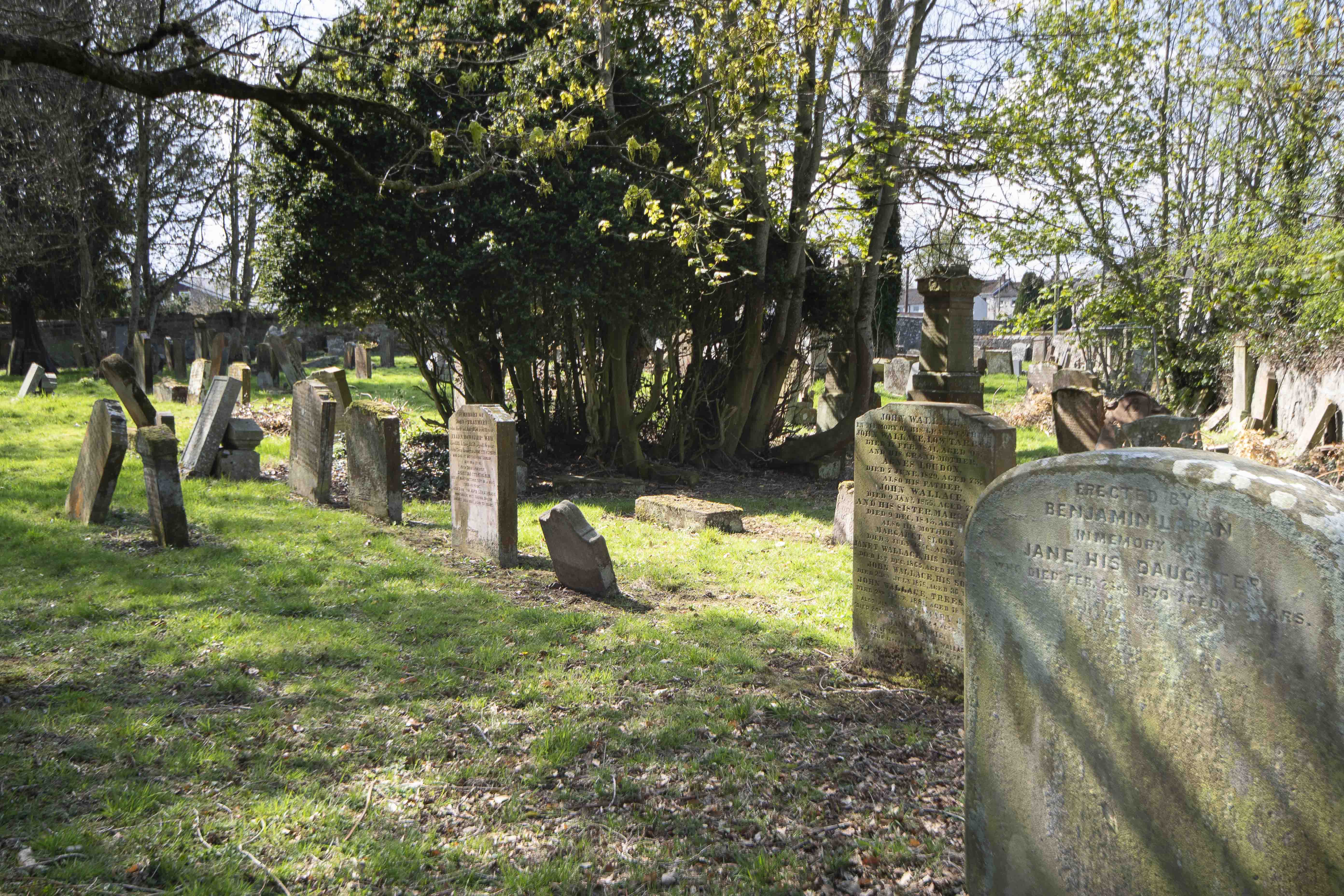 Ochiltree Old Cemetery where pupils uncovered old gravestones, mapped them and recorded inscriptions.