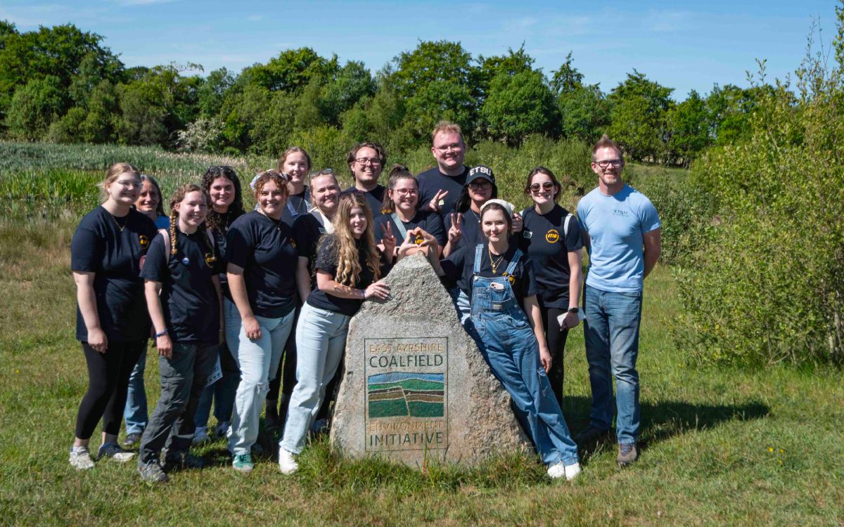 Coalfields for Pollinators