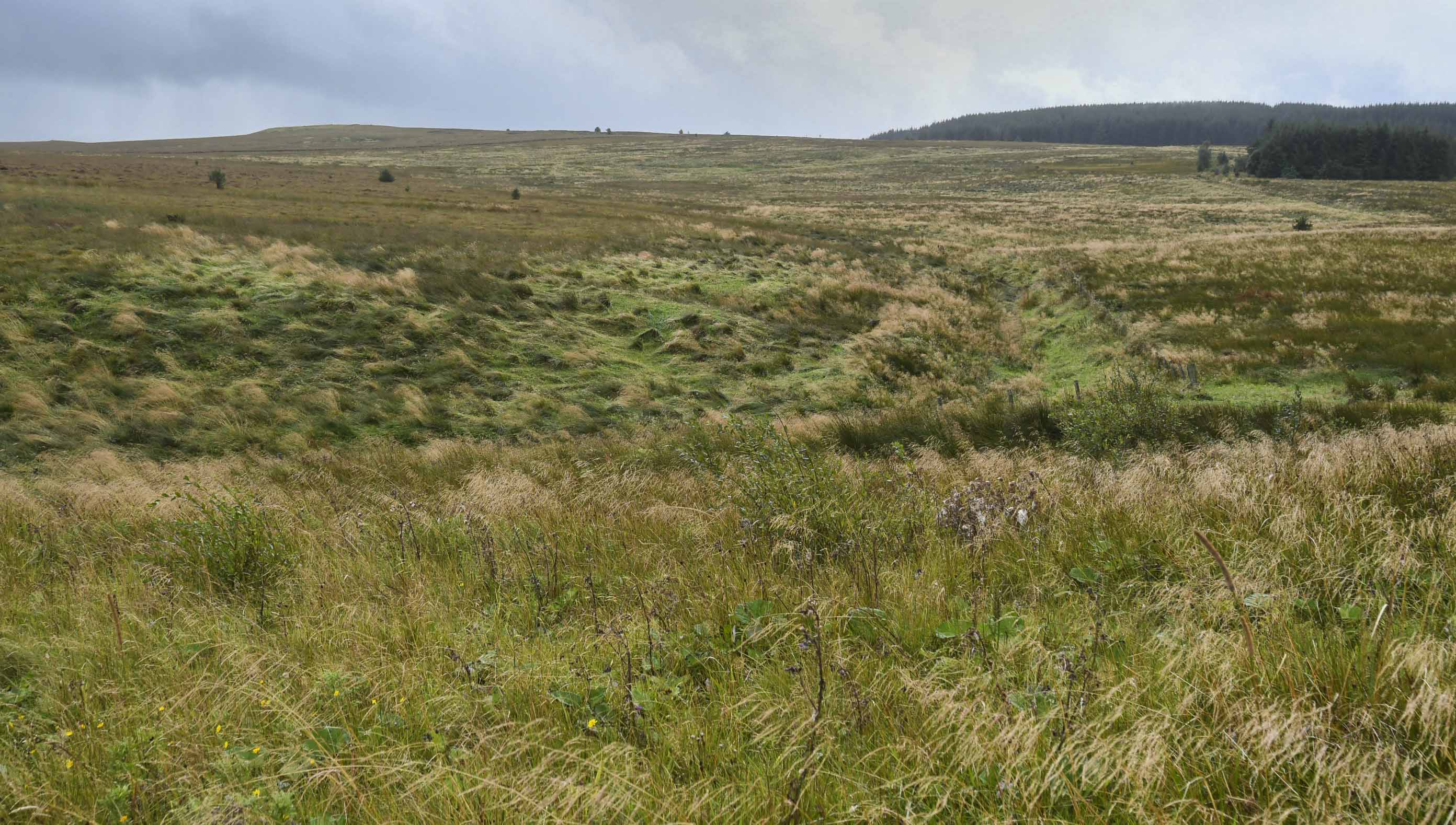 Old crumbling drainage ditches on Glaisnock Moss.