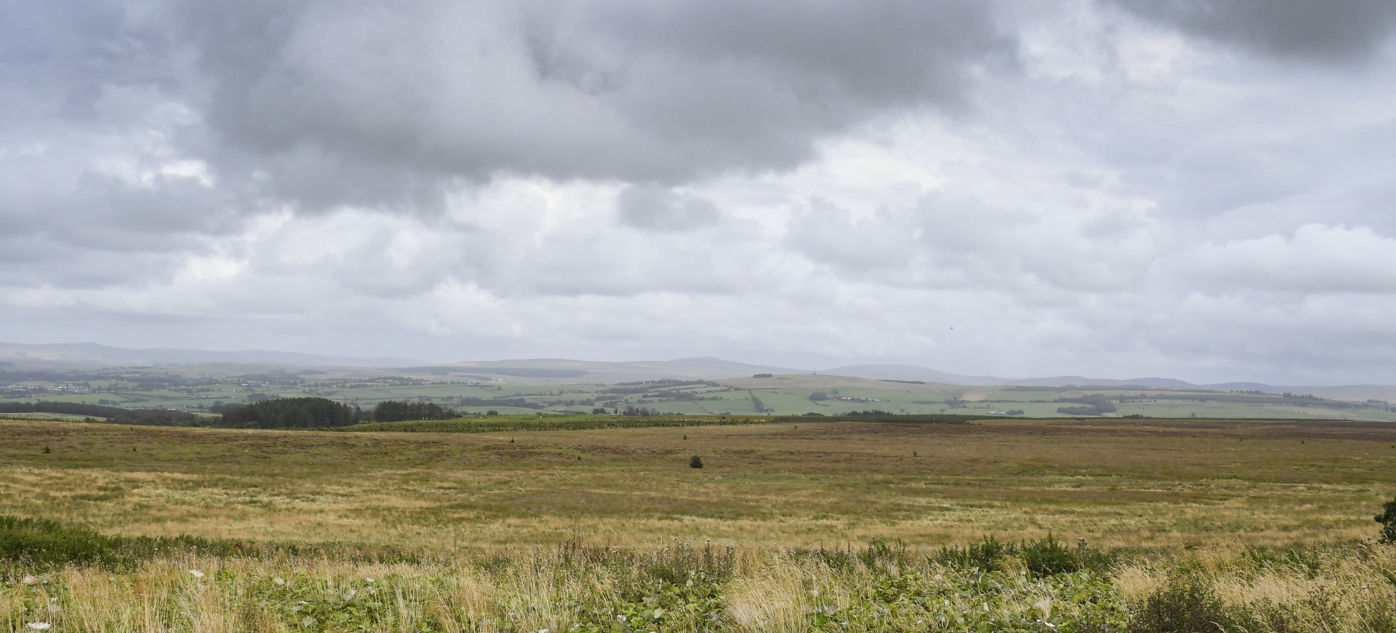 Looking East across Glaisnock Moss.